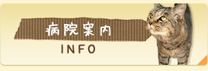 病院案内